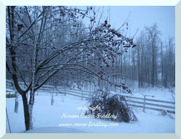 copyright Noreen Crone-Findlay