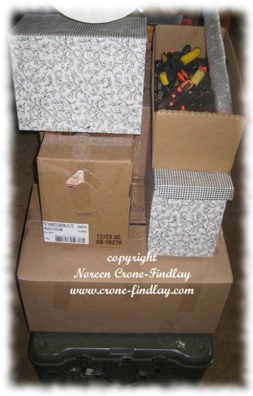 copyright Noreen Crone-Findlay www.crone-findlay.com