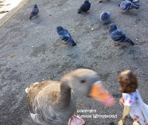 pauline-goes-to-london-8-c