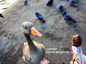 pauline-goes-to-london-9-c